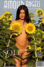 SOLE