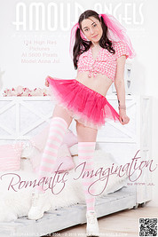 ROMANTIC IMAGINATION