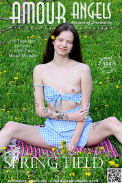SPRING FIELD